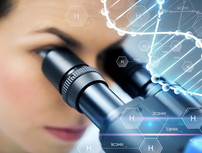 magzat, ember, élet, embrió