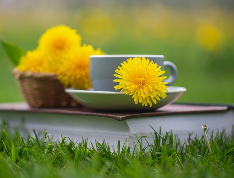 mire jó pitypang gyermekláncfű vese vízhajtó