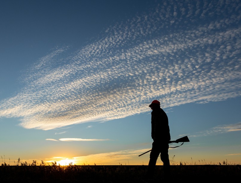 túra, baleset, lövés, bükk, vadász