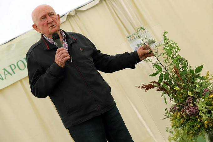 Ezek a bükki füvesember tanácsai a szívünk és a bolygónk egészségéért című cikk nyitóképe