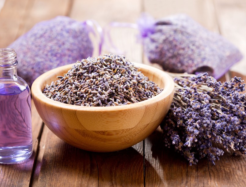 levendula, feszültség, stressz, idegrendszer, idegesség, nyugtatás