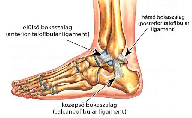 Mi az ínszalagszakadás?