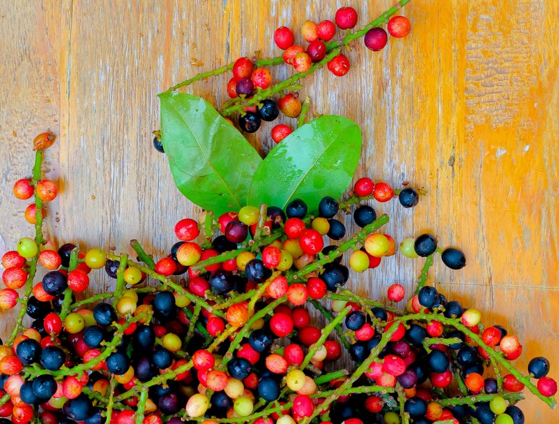 vaspótlás, vashiány, vas, gyümölcs, vitamin, gyógynövény