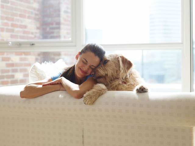 Az emberhez való kötődés vajon csak a kutyákra jellemző? Itt a kutatók válasza