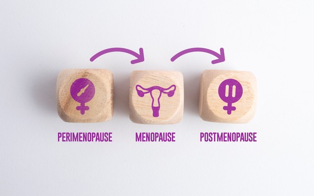 A petefészkek második élete: érdekes karrierváltáson esnek át a menopauza után
