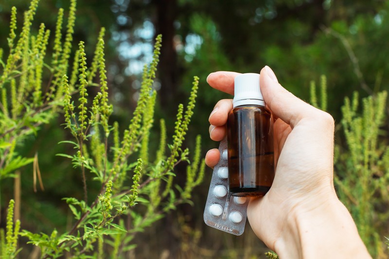 Parlagfű allergiás és gyógyszerrel sem enyhülnek a tünetei? Ez rejtőzhet a hátterében!