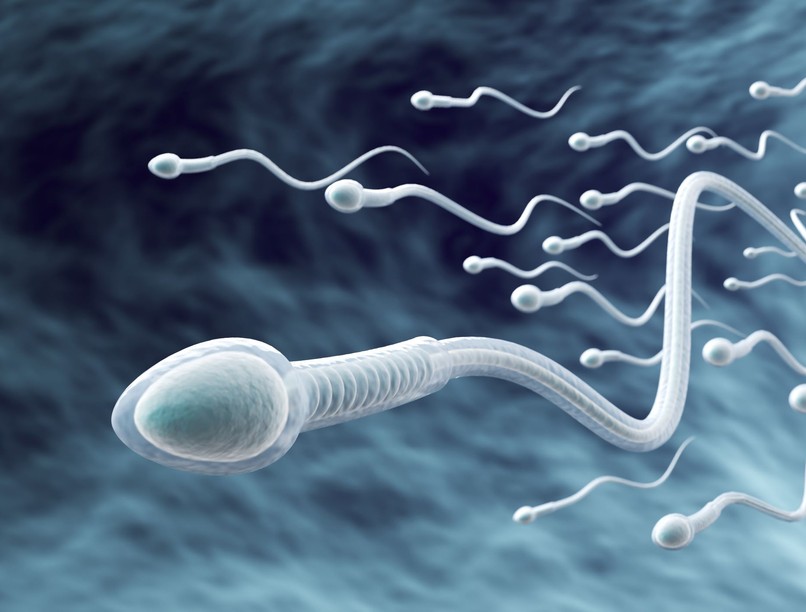 férfi sperma életkor gyerek kutatás