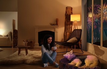 Szilveszter: ha nem pánikol a kiskedvence, még nem jelenti azt, hogy nem fél