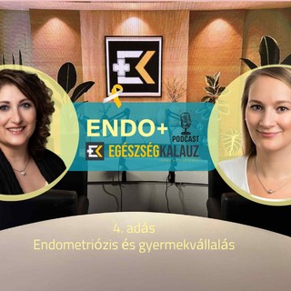 Lehet-e gyermekem endometriózissal?  Remények, lehetőségek és valós esélyek - ENDO+ videós podcast című cikk nyitóképe