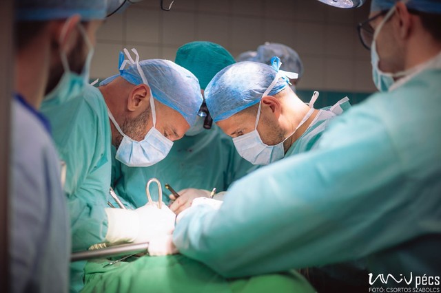 Méhátültetést végeztek a Pécsi Tudományegyetem orvosai