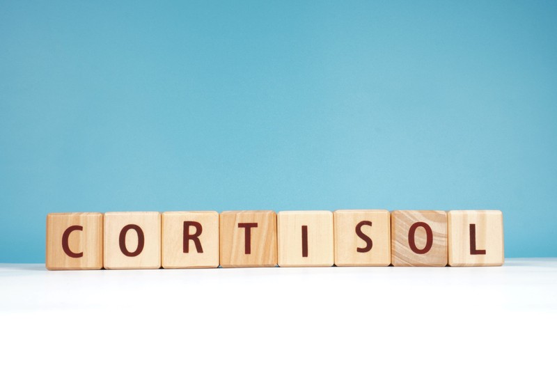 Hogyan csökkenthető a kortizol szintje? Ez érdemes tudnia a híres stresszhormonról 