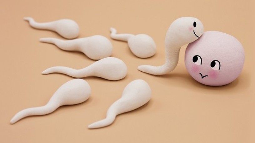 sperma