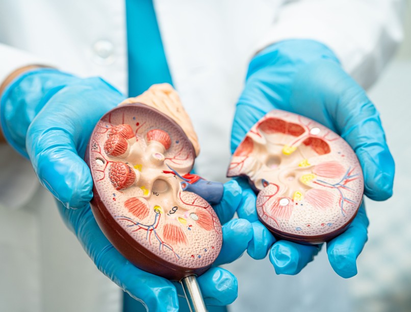 krónikus vesebetegség szakasz stádium tünet kezelés