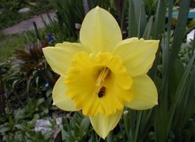 Két karodban ringatózom