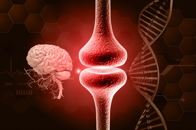 Memóriazavarok kezelése: közelebb viheti a tudományt magyar és amerikai kutatók felfedezése