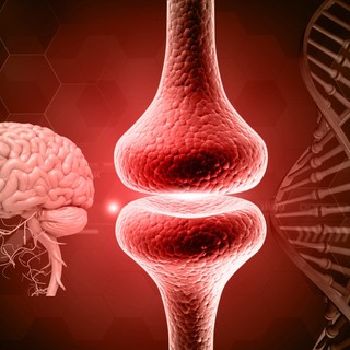 Memóriazavarok kezelése: közelebb viheti a tudományt magyar és amerikai kutatók felfedezése című cikk nyitóképe