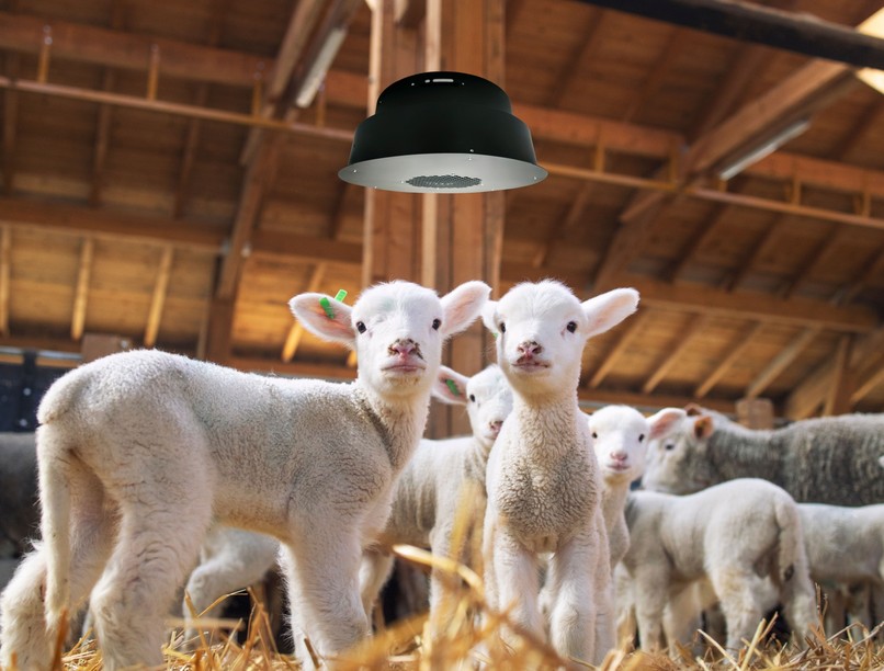 fertőzés vírusok új légtisztító