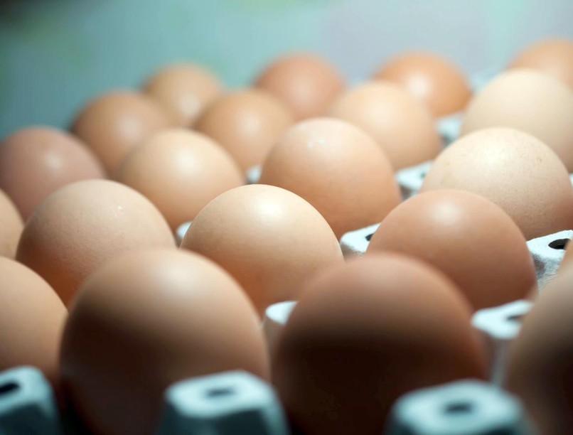 A rendszeres és mértékletes tojásfogyasztás nem hozható kapcsolatba a magas koleszterinszinttel