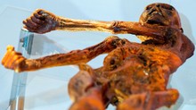 A tudósok aktív életre utaló jeleket találtak Ötzi-ben, a jégemberben című cikk nyitóképe