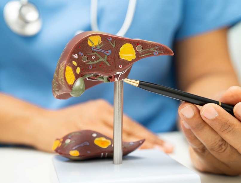 mennyi idő alatt tisztul ki a máj