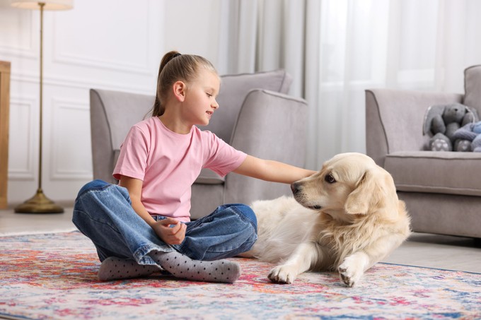 Videón a figyelmeztetés: a kutya próbált szólni, de senki nem értette - majdnem megsérült ezért a kislány című cikk nyitóképe