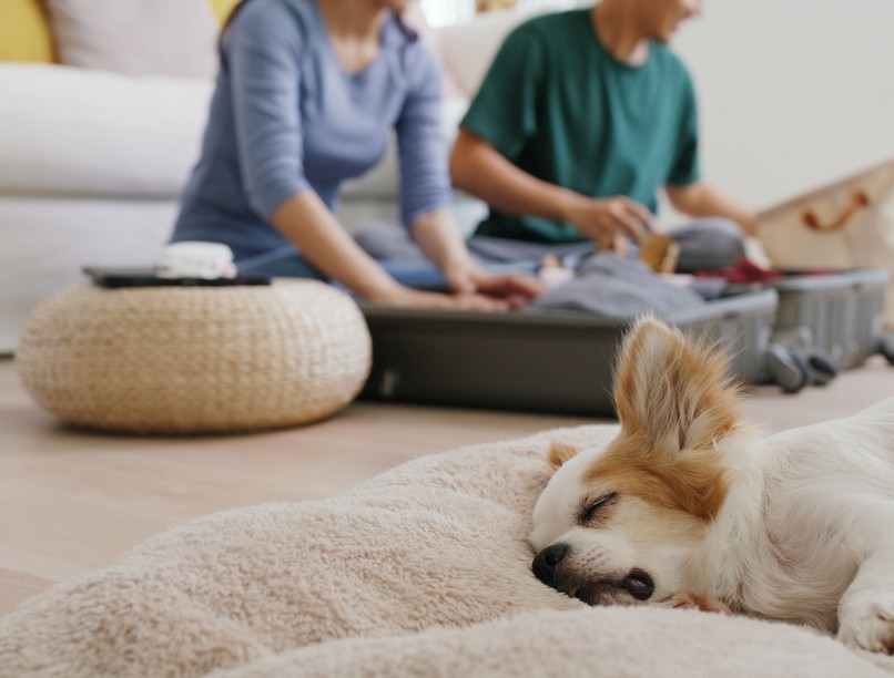 Külföldi gyógykezelés Magyarok véleménye