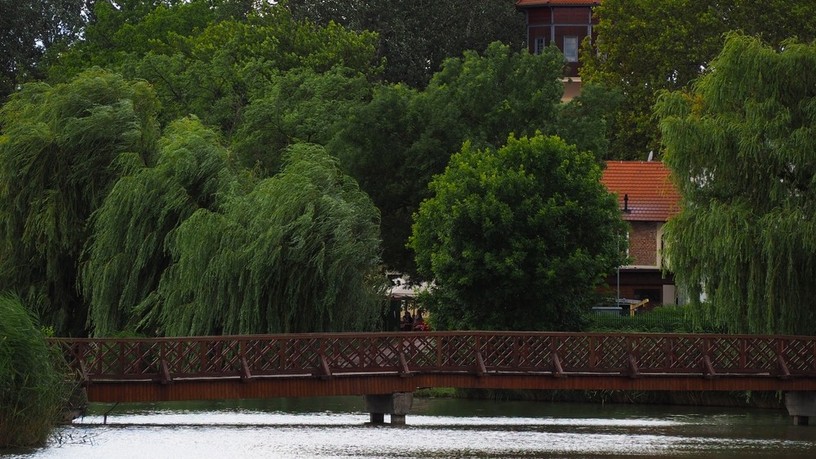 nyíregyháza, koronavírus, covid, szennyvíz