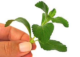 Jázminpakóca - az új "csodaszer"