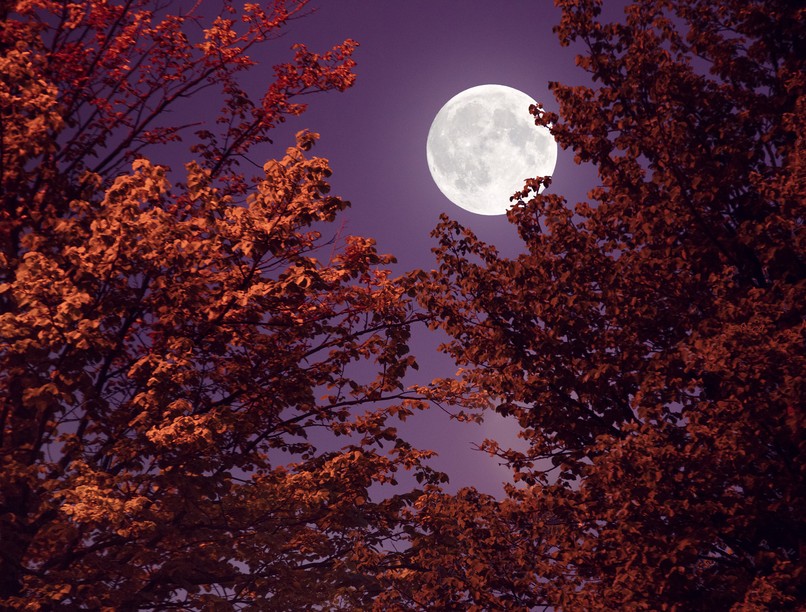 telihold, öngyilkosság, szorongás, depresszió