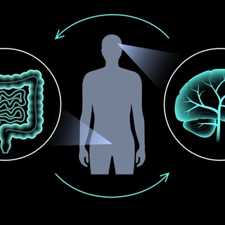 Mi az immunológiai vizsgálat és mit mutat ki? című cikk nyitóképe