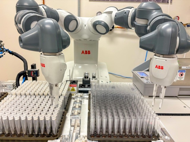 Neurológia: kobotok segítik a kutatók munkáját