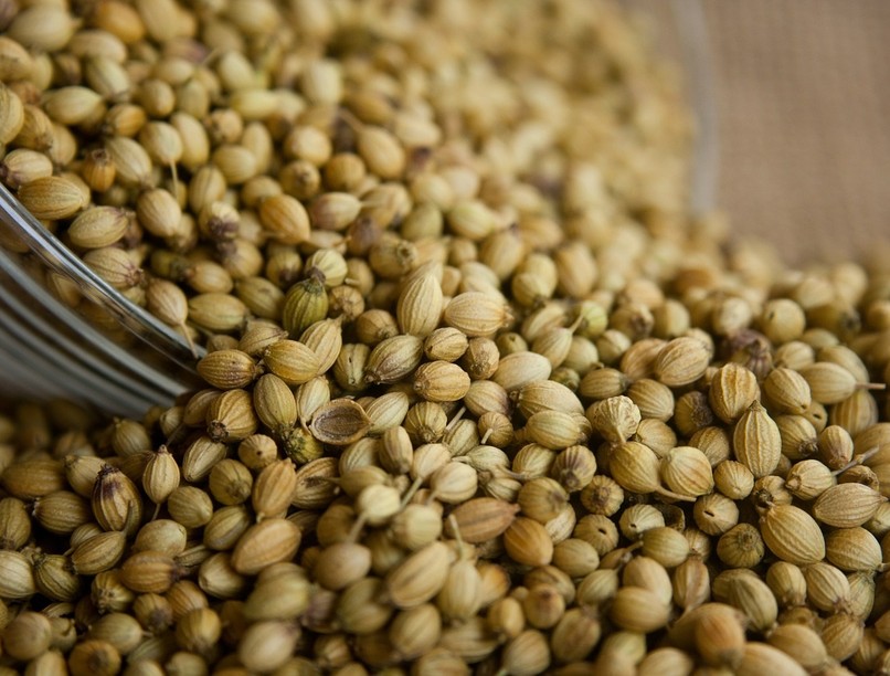 coriander-390015_1280_0