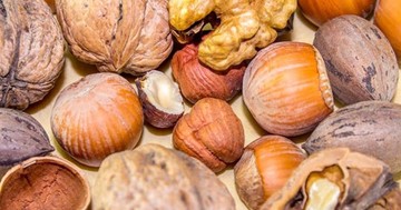 Dió, mogyoró: már napi tíz gramm csodát művel