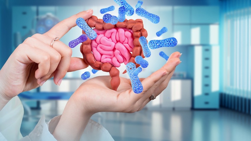 A mentális egyensúly eléréséhez nélkülözhetetlen az, hogy a bélflóra és az agy is egészségesen, egymással összhangban működjenek. Nézzük, hogyan tehetünk ezért a mindennapokban!