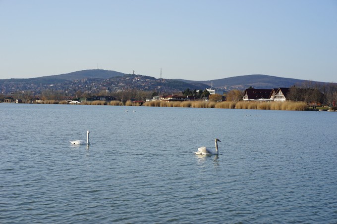 A Velencei-tó gyorsabban melegszik, mint a levegő című cikk nyitóképe