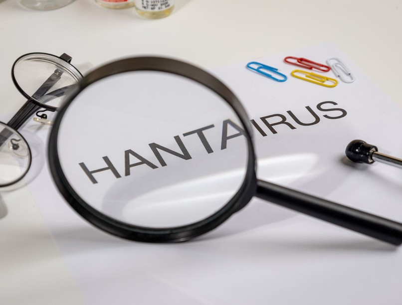 hantavírus légiutaskísérő járvány hírek
