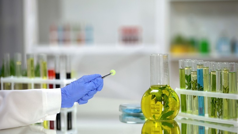 vitamin, hasznosulás, immunerősítés, immunrendszer
