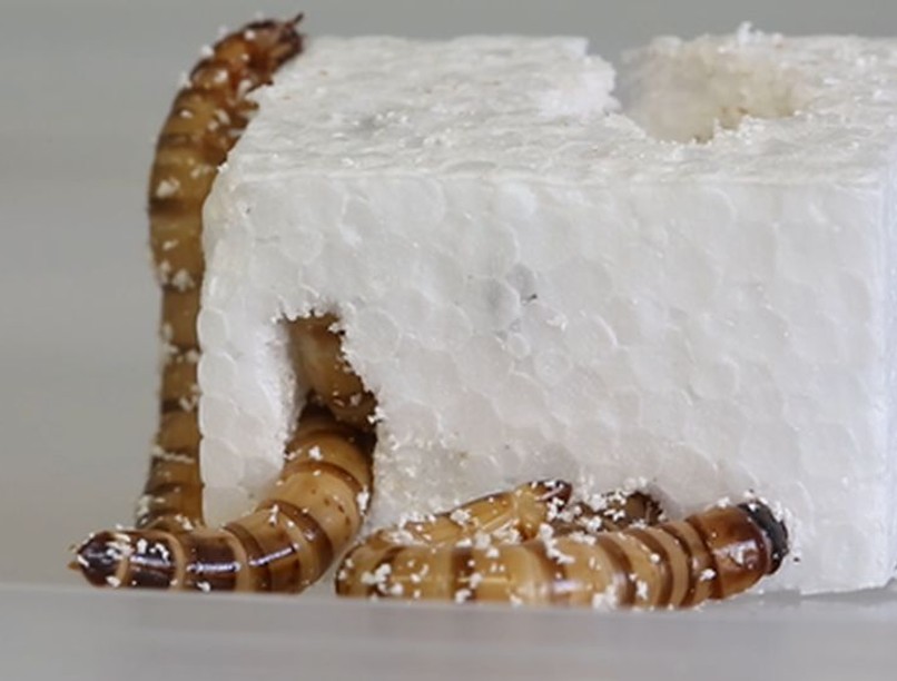 szuperférgek, újrahasznosítás, hungaroszell, polisztirol, kutatás