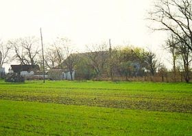 Közérdekű: az állami gondozottak elhelyezése