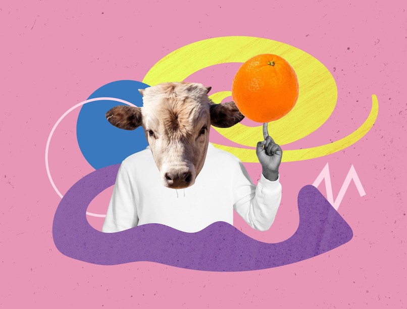 orvosmeteorológia front ma időjárás csütörtök újév