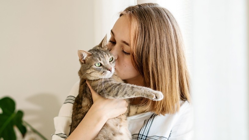 Honnan tudom hogy a macskám szeret engem jelek