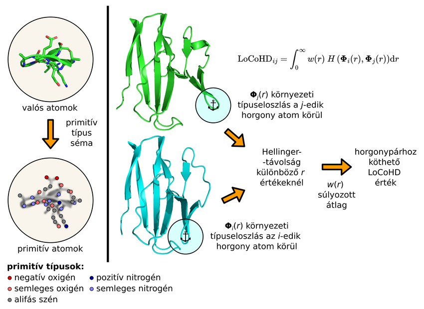 Az ábra a LoCoHD metrika értékének számítási folyamatát mutatja lépésről lépésre, egy adott horgonypárhoz. A kémiai felbontást a primitív típus séma adja meg, amivel a valós szerkezet primitív atomokból álló szerkezetté alakítható (bal oldalt). Ezután a két összehasonlítandó primitív szerkezetből (középen, zöld és türkiz színnel) két horgonyatomot kiválasztva számítható egy 0 és 1 közötti szám a fenti képlet segítségével.