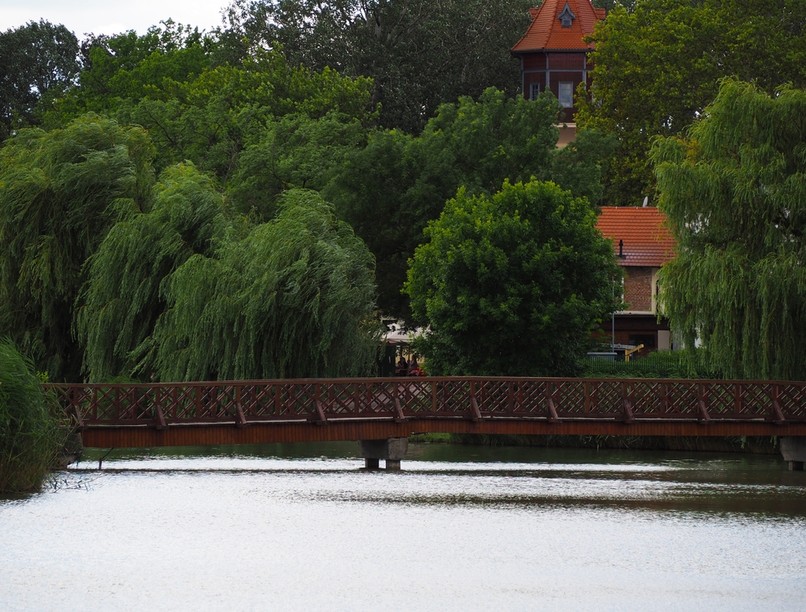 nyíregyháza, koronavírus, covid, szennyvíz