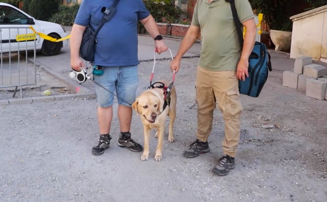 Gödörbe rántottak egy vakvezető kutyát és gazdáját Budapesten, majd  otthagyták őket