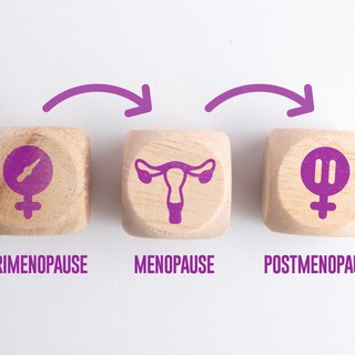 A petefészkek második élete: érdekes karrierváltáson esnek át a menopauza után című cikk nyitóképe