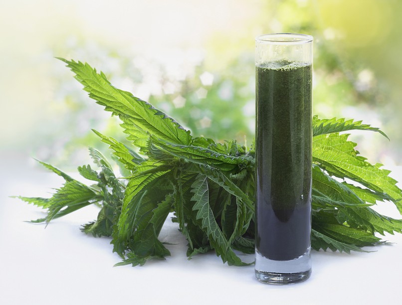 csalán, csalánlé, permetszer, természetes növényvédő, gyógynövény