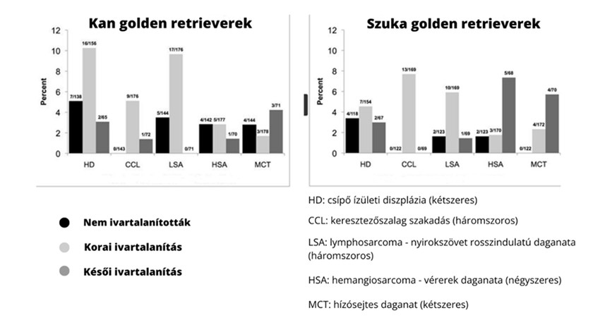 A UC Davis Állatorvosi Egyetem (University of California Davis Veterinary Medicine) 758 golden retriever kutya adatait dolgozta fel kutatásában. 