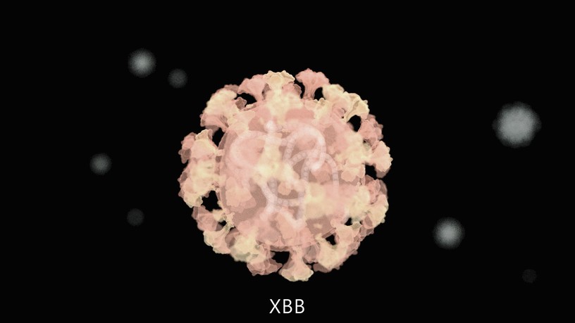 omikron, omikron alvariáns, koronavírus, covid, XBB