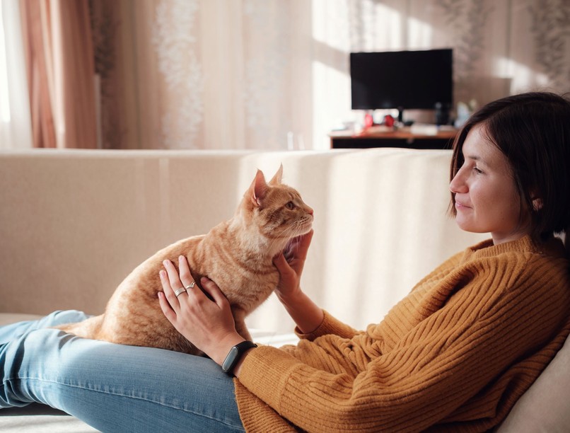 macska dorombol mentális egészség