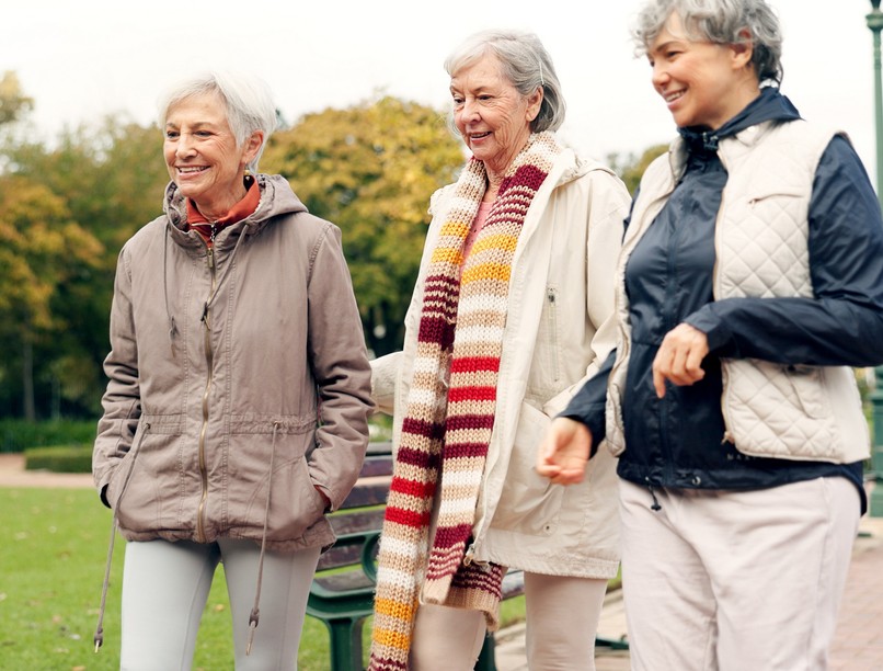 gyalogló klub, idős, magyarország